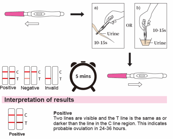 Ovulation Test Kit (LH Ovulation Predictor) 4