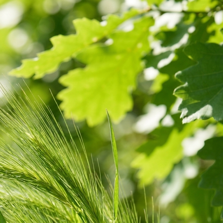 Close-up of green grass and botanical foliage representing environmental plant-based triggers.