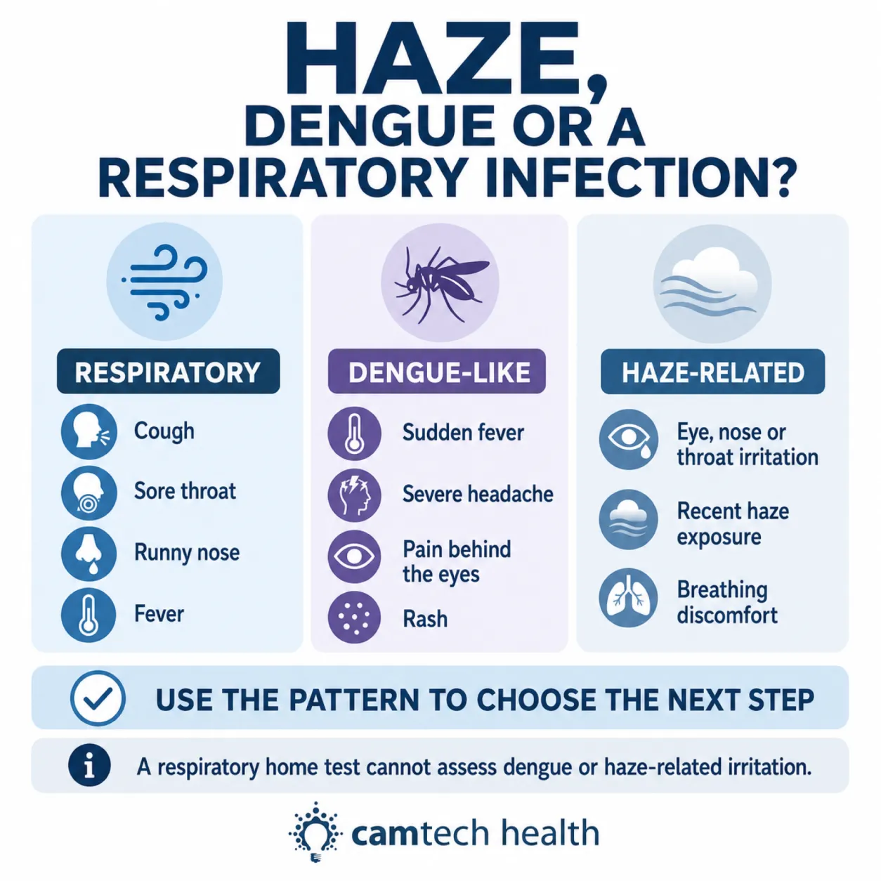 Infographic comparing respiratory, dengue-like and haze-related symptom patterns in Singapore