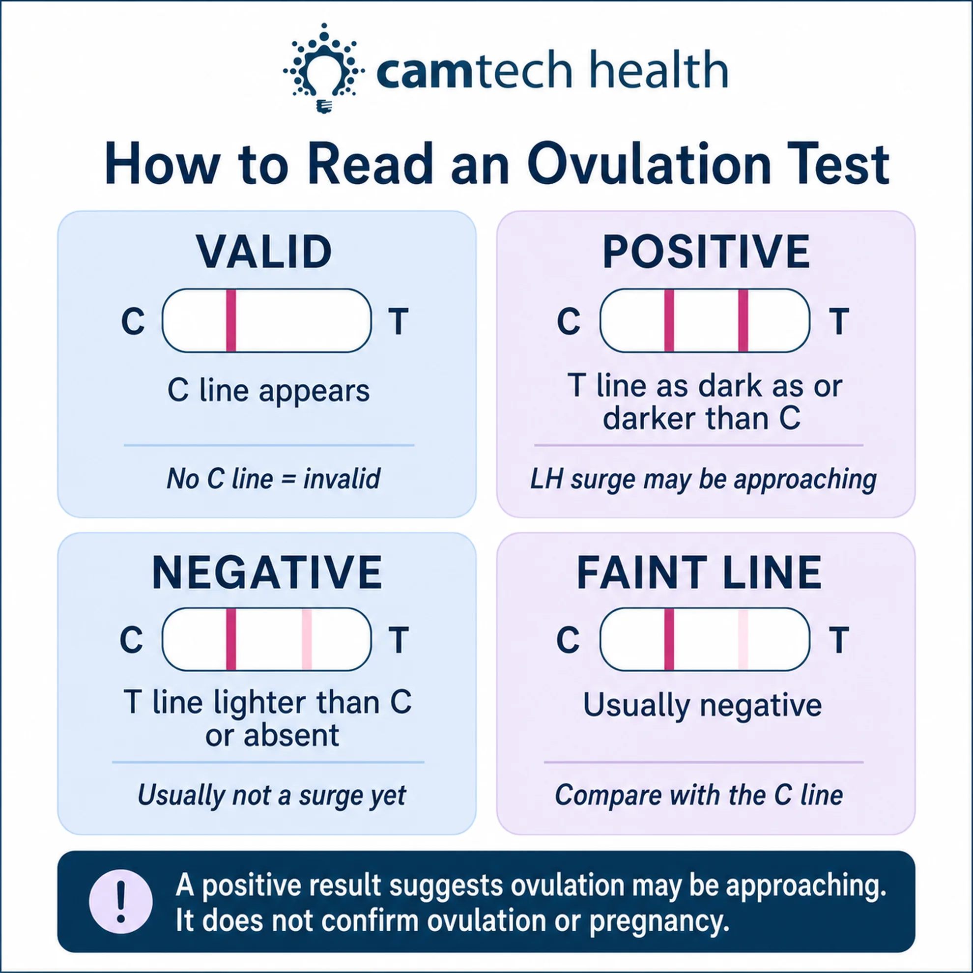 Infographic showing how to interpret valid, positive, negative and faint lines on an ovulation test